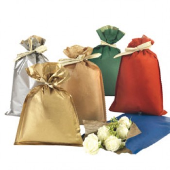 Busta regalo Natale - 25 x 40 cm - 45 gr - carta - 5 colori assortiti - PNP - conf. 50 pezzi Busta regalo Natale - 25 x 40 cm - 45 gr - carta - 5 colori assortiti - PNP - conf. 50 pezzi