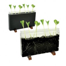 Contenitore Esplora il sottosuolo - 30 x 19 x 4 cm - Cwr Contenitore Esplora il sottosuolo - 30 x 19 x 4 cm - Cwr