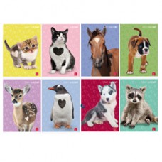 Maxiquaderno Cuccioli - A4 - 5 mm c/margine - 42 fogli - 80 gr - Pigna